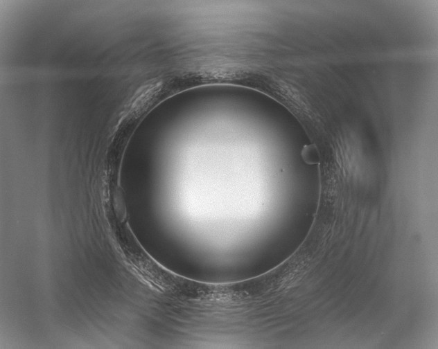 X0000058130738200509231118