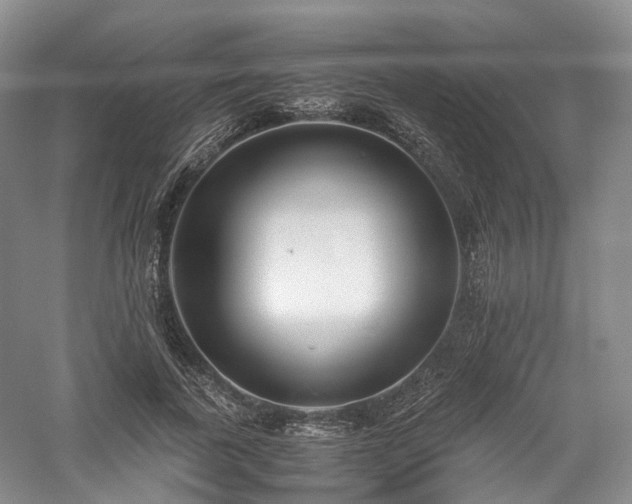 X0000058130739200509231118