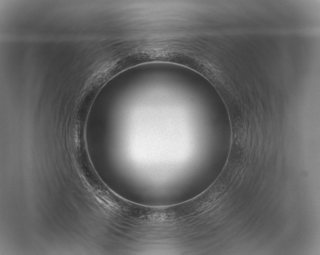 X0000058130740200509231118