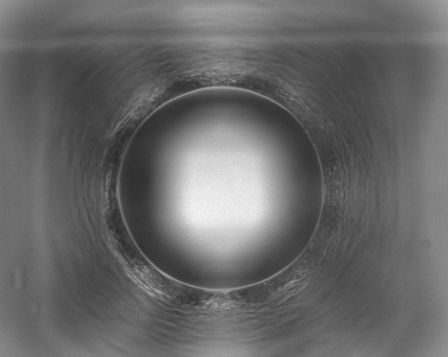 X0000058130742200509231118