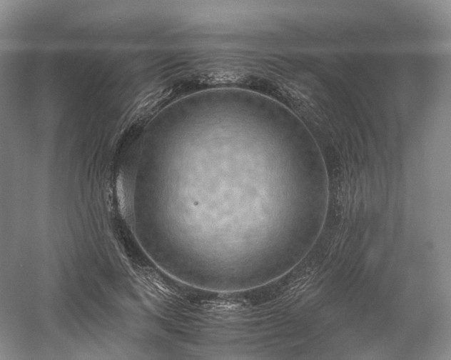 X0000058130743200509231118
