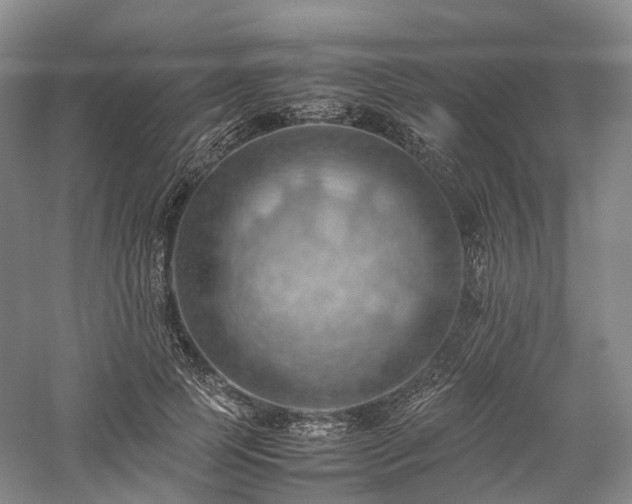 X0000058130745200509231118