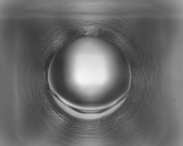 X0000058130748200509231118