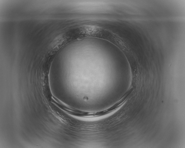 X0000058130750200509231118