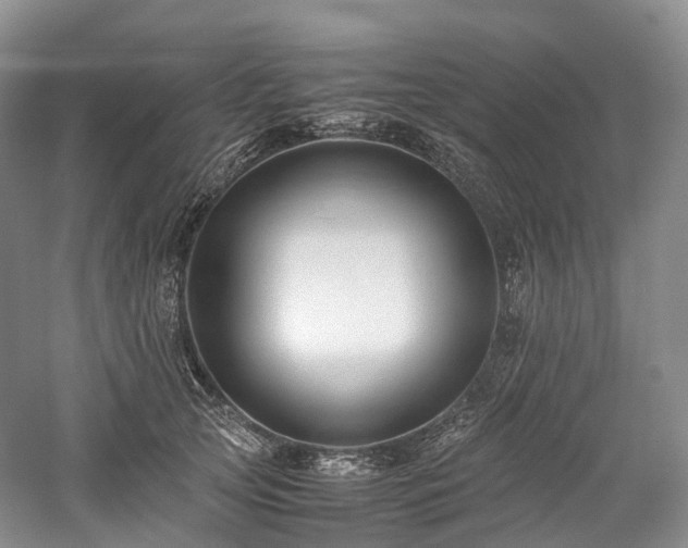 X0000058130753200509231118