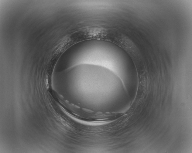 X0000058130754200509231118