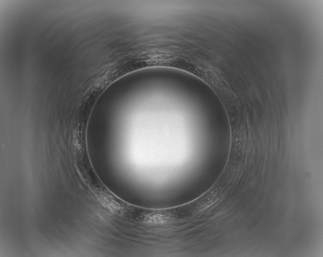X0000058130755200509231118
