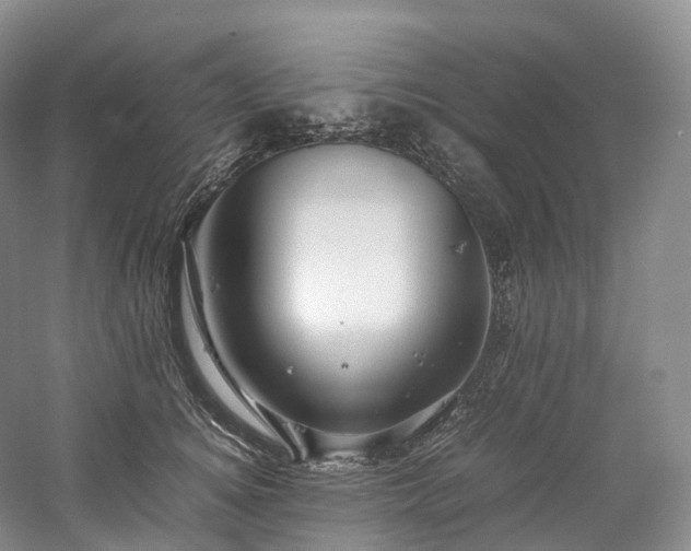 X0000058130756200509231118