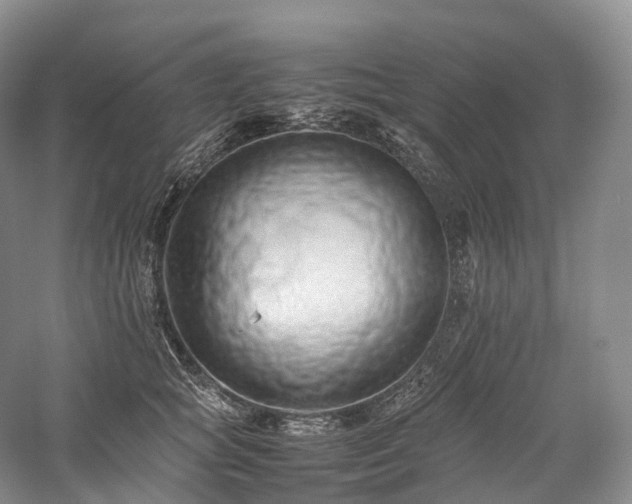 X0000058130757200509231118
