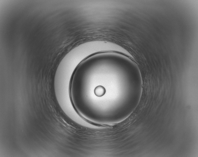X0000058130760200509231118