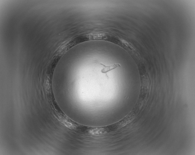 X0000058130761200509231118