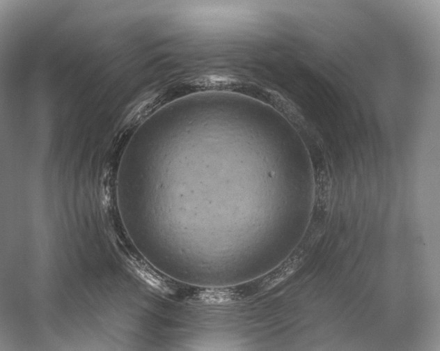 X0000058130762200509231118