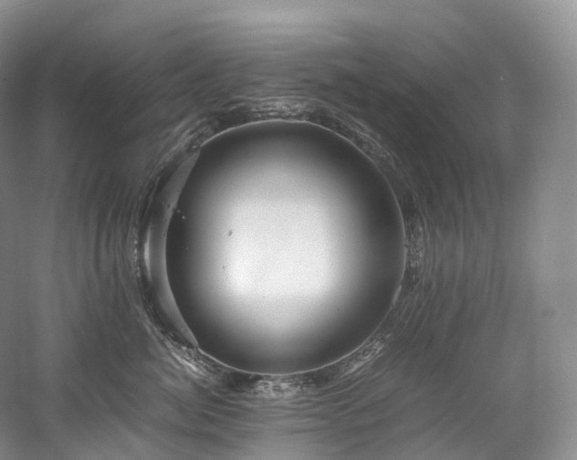 X0000058130764200509231118