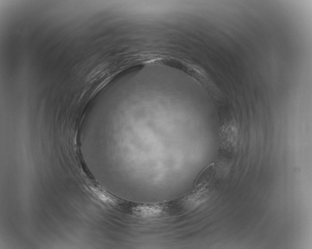 X0000058130765200509231118