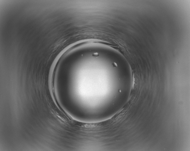 X0000058130766200509231118