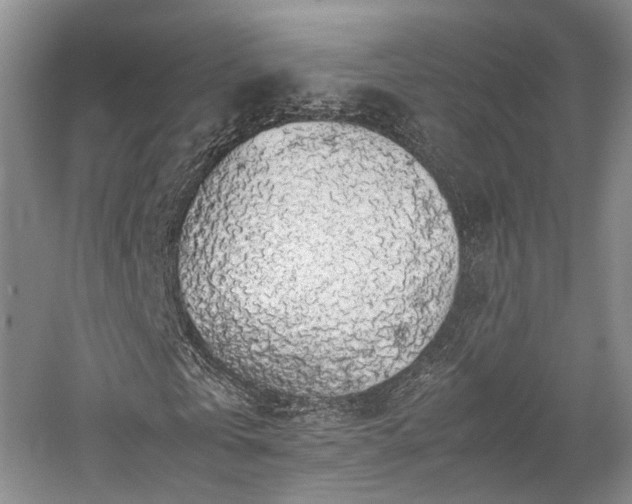 X0000058130769200509231118