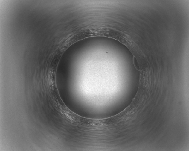 X0000058130770200509231118