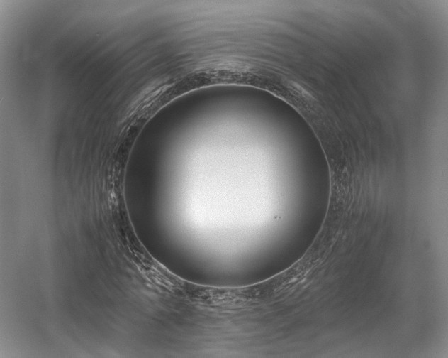 X0000058130774200509231118
