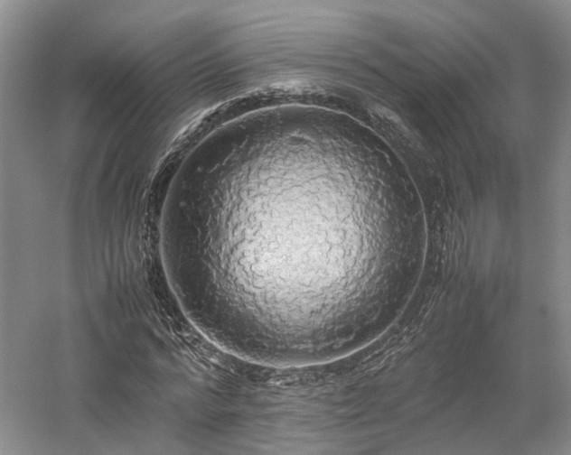 X0000058130776200509231118