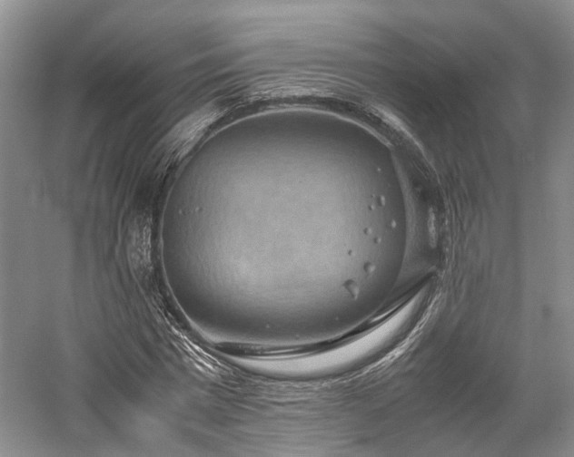 X0000058130777200509231117