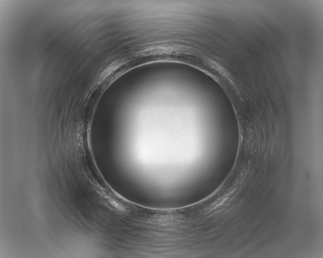 X0000058130778200509231117