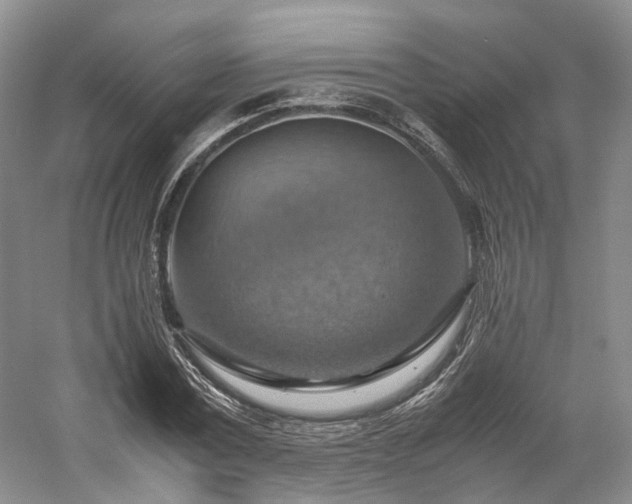 X0000058130779200509231117