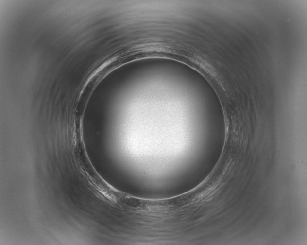 X0000058130782200509231117