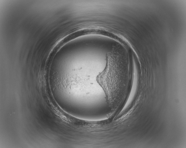 X0000058130783200509231117