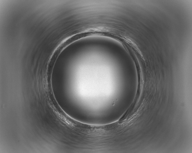 X0000058130784200509231117