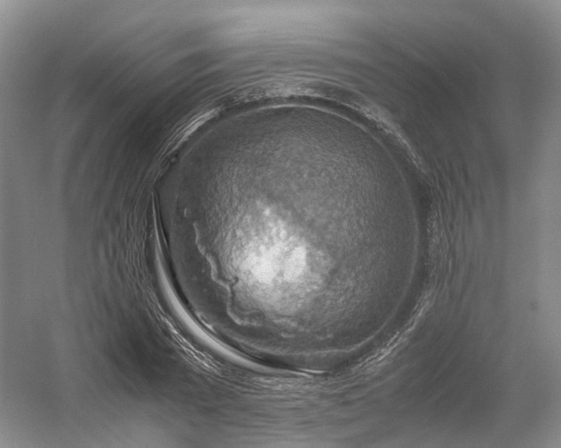 X0000058130785200509231117