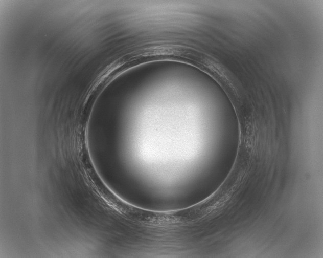 X0000058130786200509231117