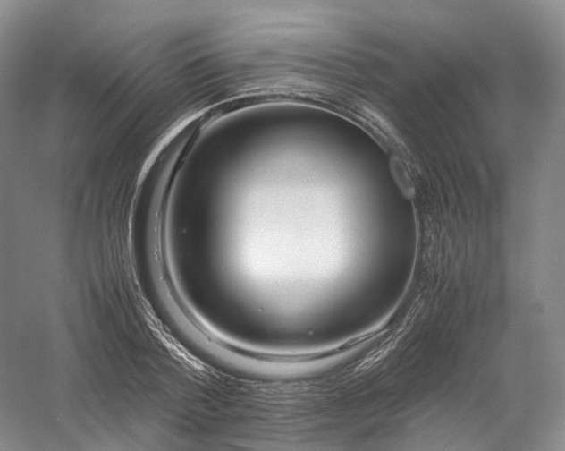 X0000058130788200509231117
