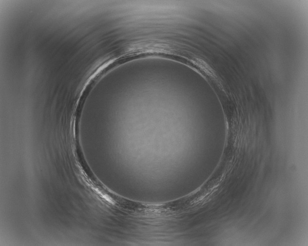 X0000058130790200509231117