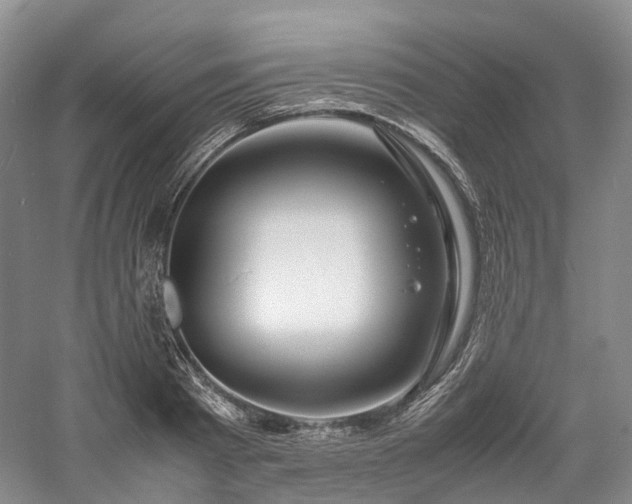 X0000058130793200509231117