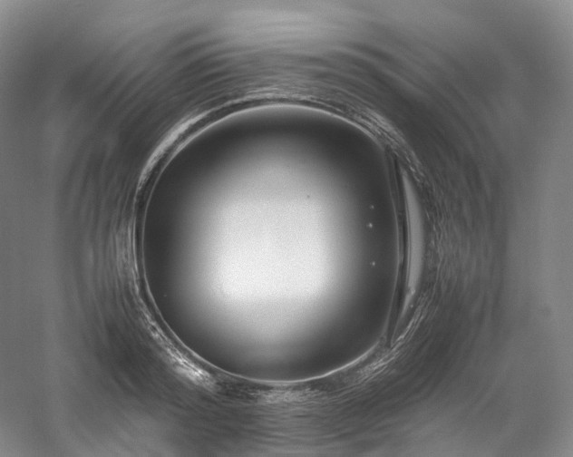 X0000058130796200509231117
