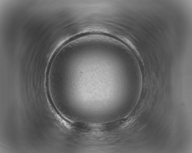 X0000058130799200509231117