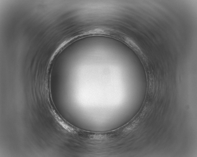 X0000058130800200509231117