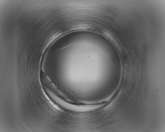 X0000058130802200509231117