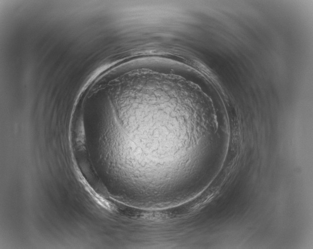X0000058130803200509231117