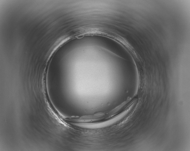 X0000058130806200509231117