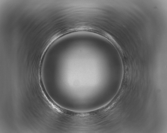 X0000058130810200509231117