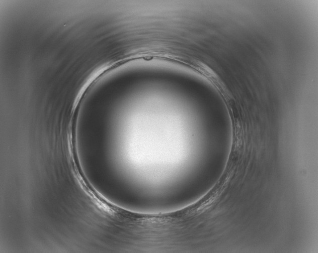 X0000058130812200509231117