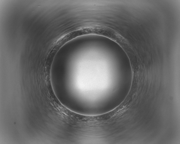 X0000058130822200509231116