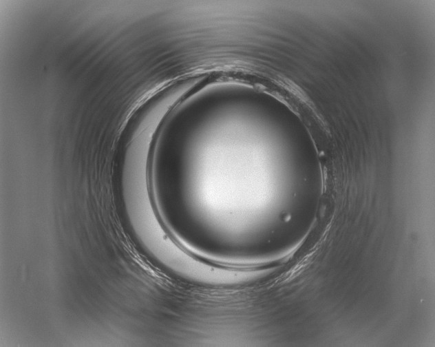 X0000058130826200509231116