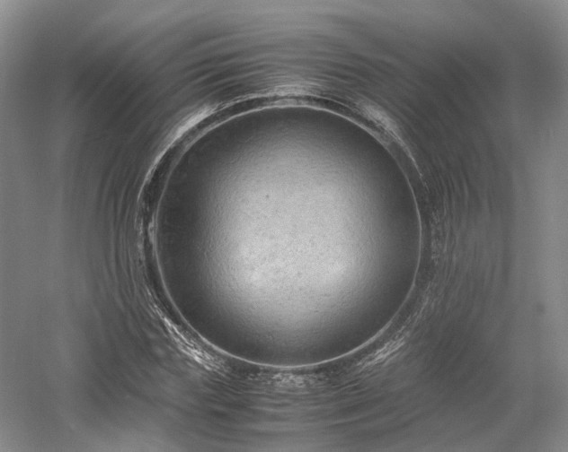 X0000058130827200509231116
