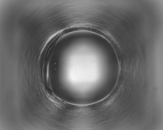 X0000058130830200509231116