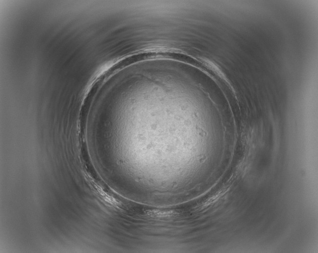 X0000058130831200509231116