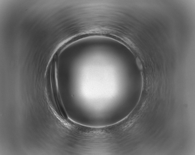 X0000058130838200509231116