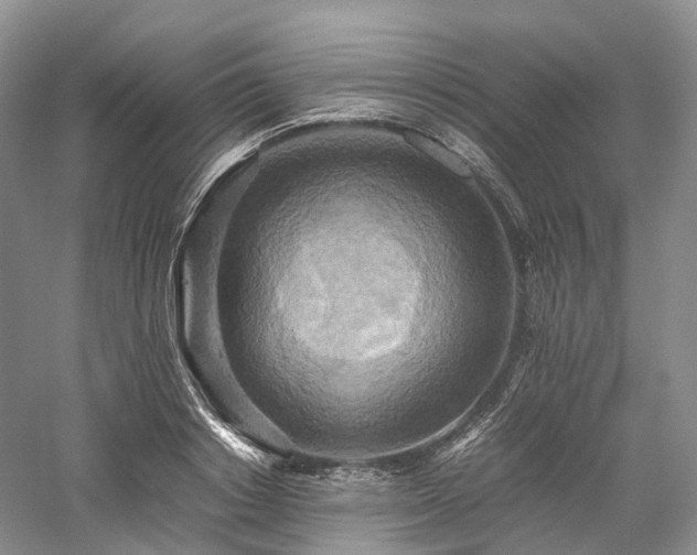 X0000058130842200509231116