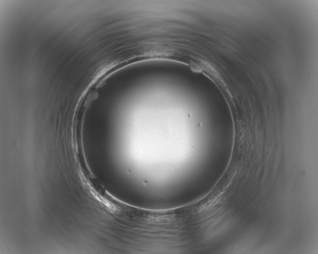 X0000058130843200509231116